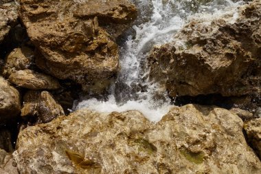 Deniz kenarından fotoğraflar: arka plan ve dokular