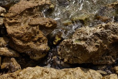 Deniz kenarından fotoğraflar: arka plan ve dokular