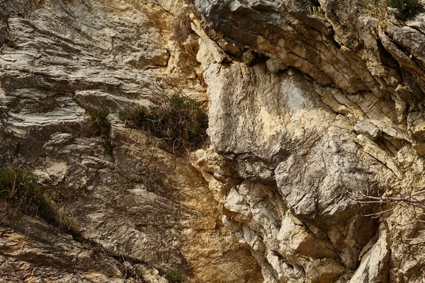 Deniz kenarından fotoğraflar: arka plan ve dokular