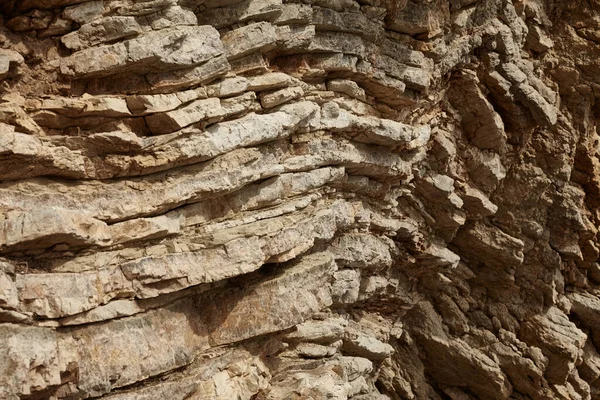 Deniz kenarından fotoğraflar: arka plan ve dokular