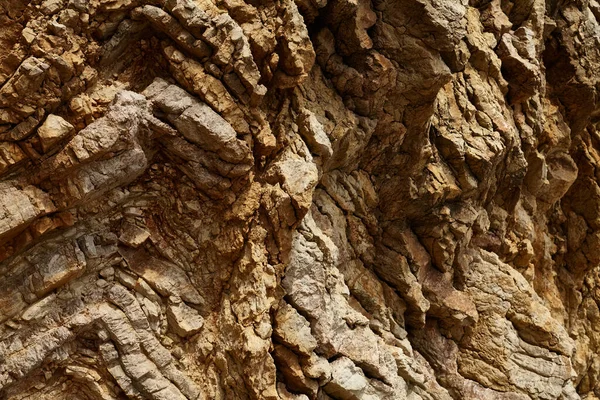 Deniz kenarından fotoğraflar: arka plan ve dokular