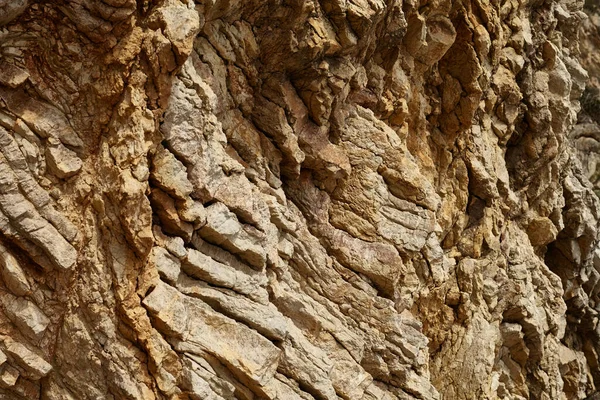 Deniz kenarından fotoğraflar: arka plan ve dokular