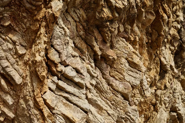 Deniz kenarından fotoğraflar: arka plan ve dokular