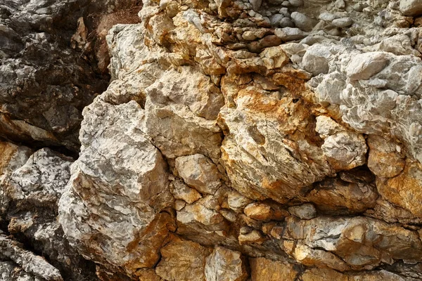 Deniz kenarından fotoğraflar: arka plan ve dokular