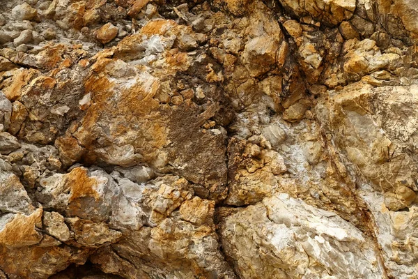 Deniz kenarından fotoğraflar: arka plan ve dokular