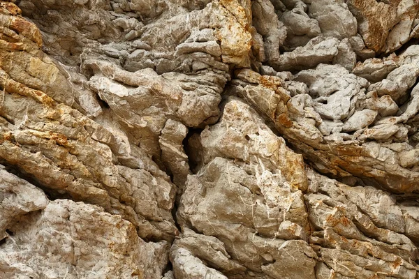 Deniz kenarından fotoğraflar: arka plan ve dokular