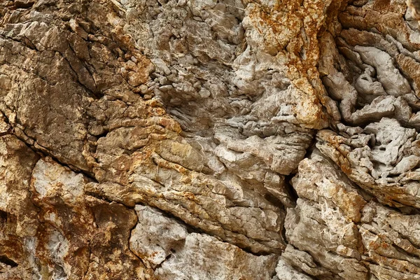 Deniz kenarından fotoğraflar: arka plan ve dokular