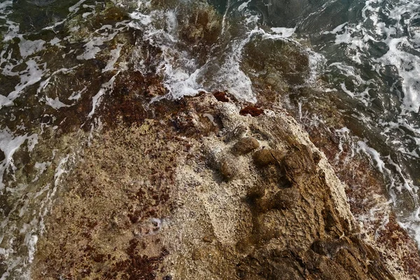 Bilder Från Havskusten Bakgrunder Och Texturer — Stockfoto