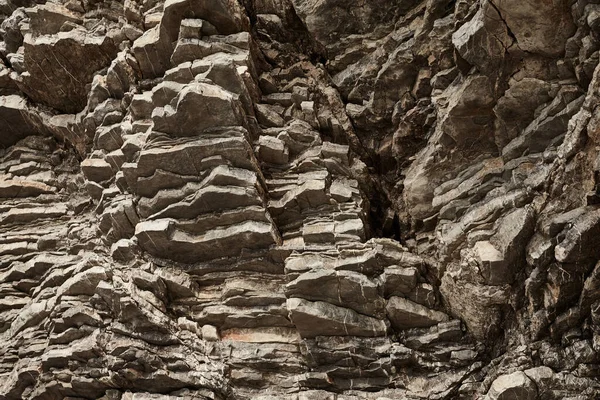 Deniz kenarından fotoğraflar: arka plan ve dokular