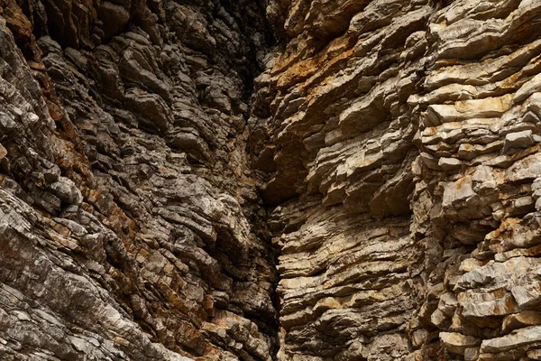 Deniz kenarından fotoğraflar: arka plan ve dokular