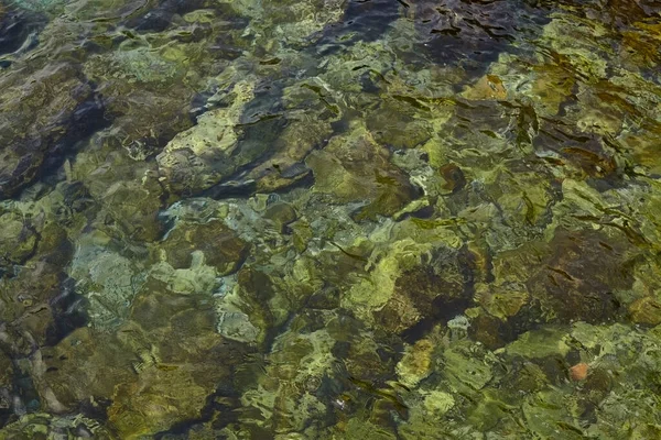 Deniz kenarından fotoğraflar: arka plan ve dokular