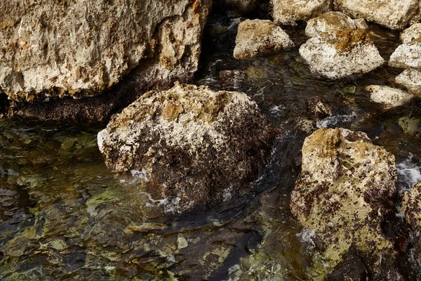 Deniz kenarından fotoğraflar: arka plan ve dokular