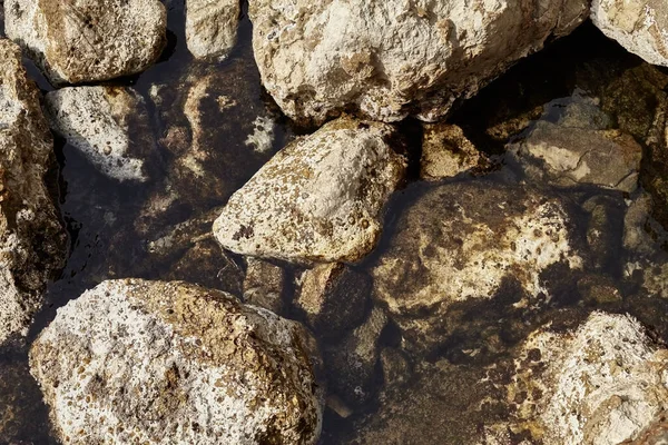 Deniz kenarından fotoğraflar: arka plan ve dokular