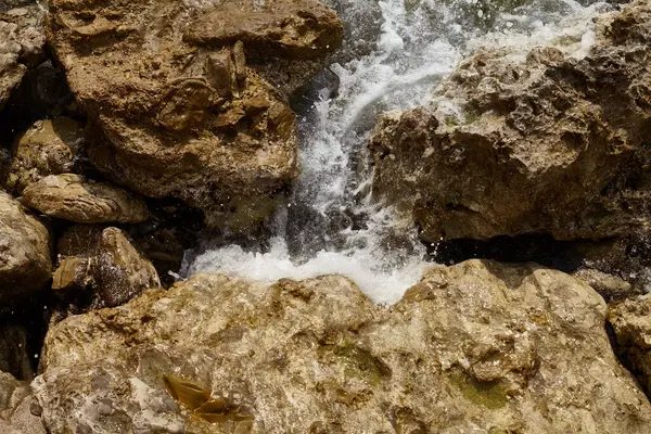Deniz kenarından fotoğraflar: arka plan ve dokular