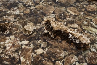 Geçmiş ve dokular, deniz kenarından fotoğraflar.