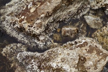 Geçmiş ve dokular, deniz kenarından fotoğraflar.