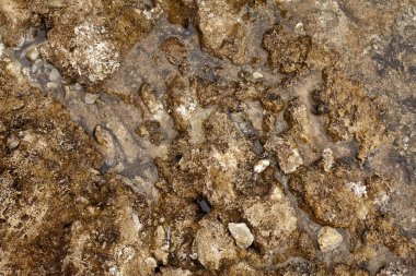 Geçmiş ve dokular, deniz kenarından fotoğraflar.