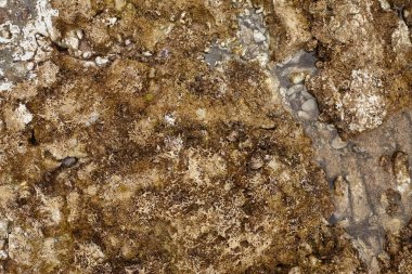 Geçmiş ve dokular, deniz kenarından fotoğraflar.