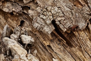 Geçmiş ve dokular, deniz kenarından fotoğraflar.