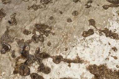 Geçmiş ve dokular, deniz kenarından fotoğraflar.