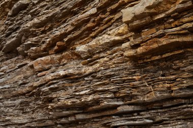 Geçmiş ve dokular, deniz kenarından fotoğraflar.