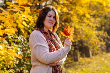 Sonbahar sarısı, kahverengi ve kırmızı yaprakları olan güzel romantik genç bir kadının portresi, altın yapraklar tutan şirin bir kız, seçici odak, doğal ışık, canlı renkler, vücut pozitifliği.