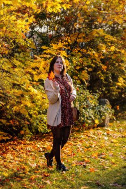 Sonbahar sarısı, kahverengi ve kırmızı yaprakları olan güzel romantik genç bir kadının portresi, altın yapraklar tutan şirin bir kız, seçici odak, doğal ışık, canlı renkler, vücut pozitifliği.