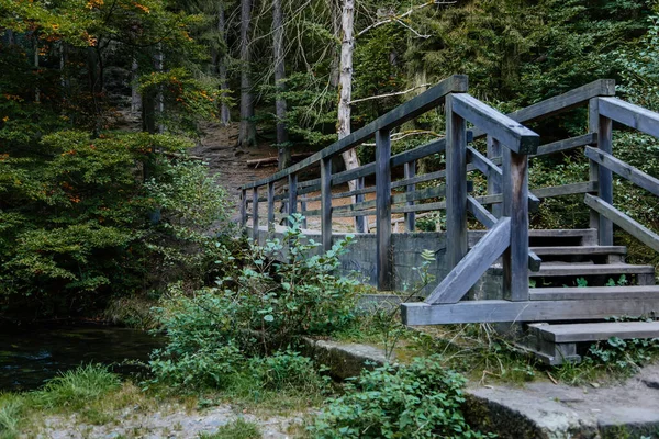 Bohemiska Schweiz Nationalpark Tjeckien Oktober 2021 Gammal Träbro Över Kamenice — Stockfoto