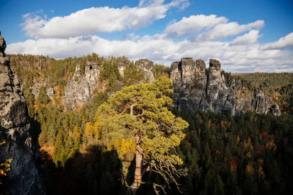 Sakson İsviçre Ulusal Parkı, Almanya, 6 Kasım 2021: Elbe Nehri Vadisi 'nde Basteiaussicht veya Bastei Kaya oluşumları, Kum Dağı Yolu, güneşli bir günde sonbahar ormanı manzarası, kayalık vadi 