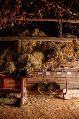 Kourim, Czech Republic, 26 December 2021: Inside rustic wooden old barn hay, Attic of hayloft, Bales dry straw, light beams farm, village rural lifestyle background, open-air ethnographic museum