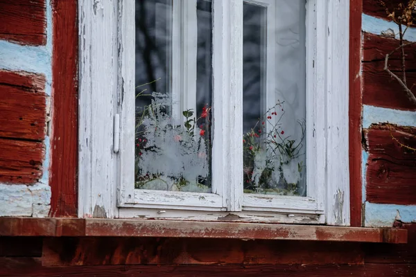 Kourim Czech Republic December 2021 Vintage Windows Frosty Pattern Glass — Stok fotoğraf