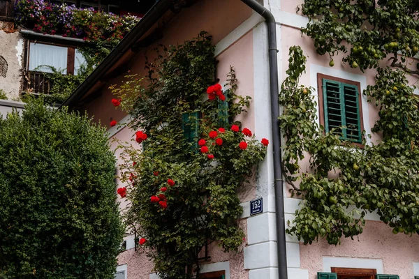 Hallstatt Áustria Agosto 2021 Colorful Scenic Picturesque Town Street Summer — Fotografia de Stock