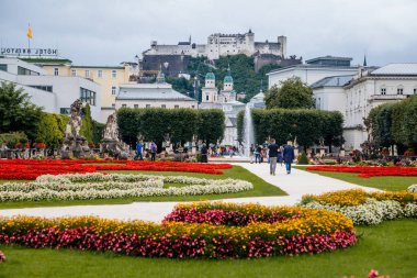 Salzburg, Avusturya, 28 Ağustos 2021: Saray yakınlarındaki ünlü Mirabell bahçeleri, geometrik olarak düzenlenmiş park, yaz gününde eski tarihi Hohensalzburg kalesi manzarası, Sound of Music, Red Roses 