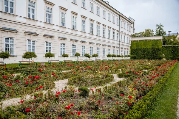 Salzburg Österrike Augusti 2021 Berömda Mirabell Trädgårdar Nära Palatset Geometriskt — Stockfoto