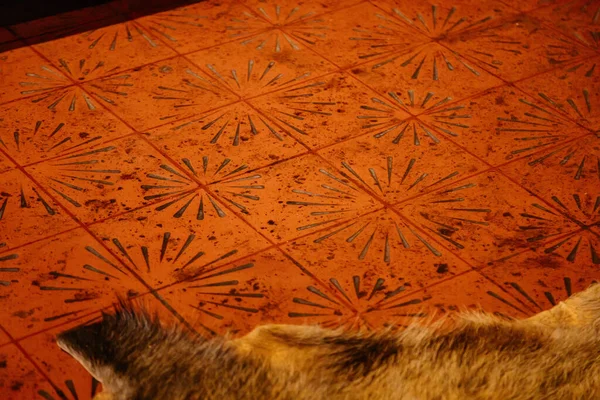 Karlstejn, Çek Cumhuriyeti, 12 Mart 2022: Ortaçağ Gotik kalesi iç mimarisi, antik ahşap oyma mobilyalar, kraliyet yatak odasının zemininde turuncu renkli fayanslar.