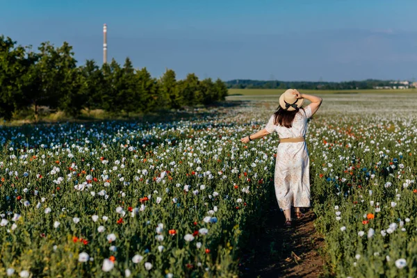 Beyaz ve bej elbiseli güzel bir kızın gün batımında haşhaş tarlasında saman şapkalı güzel bir kızın resmi, çiçekli romantik genç bir kadının portresi, pozitiflik, seçici doğal ışık.
