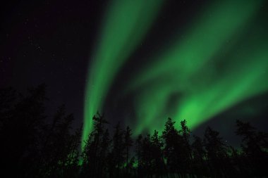 Aurora, Yellowknife şehrinde parlıyor. Gökteki bir tanrıça resmi gibi..