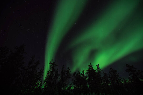 The aurora, glowing over Yellowknife city. It's like a goddess painting in the sky.