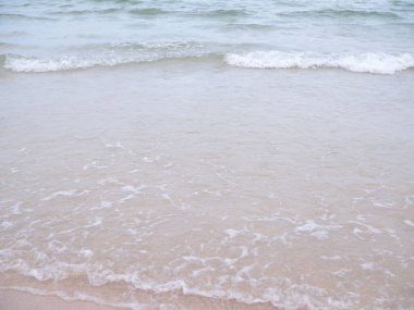 Deniz dalgaları, kumlu sahil, güçlü rüzgarlar, yumuşak ışık, deniz süngerleri, ince kum kanatları.