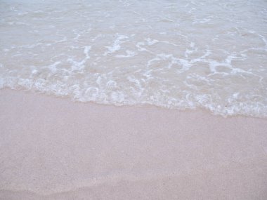 Deniz dalgaları, kumlu sahil, güçlü rüzgarlar, yumuşak ışık, deniz süngerleri, ince kum kanatları.