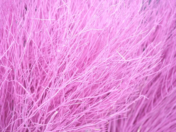 çok küçük pembe dallar hafifçe bulanık arkaplan, pembe arkaplan resmi, ağaçların dalları