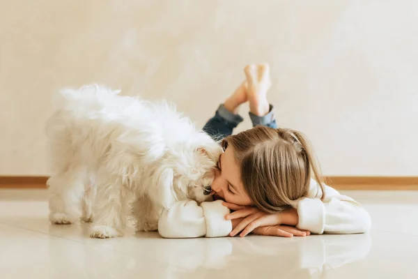 Dziewczyna Lat Długie Włosy Model Pies Maltański Uczennica Domu Styl — Zdjęcie stockowe