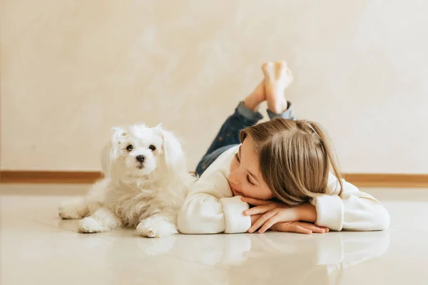 Yaşında Bir Kız Uzun Saçlı Evcil Köpeği Maltese Bir Kız — Stok fotoğraf