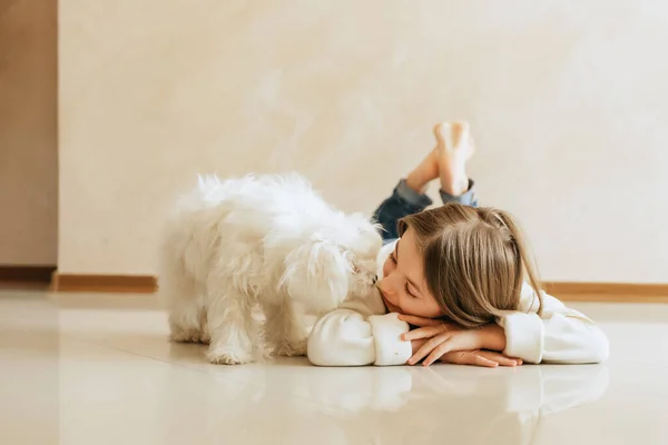 Yaşında Bir Kız Uzun Saçlı Evcil Köpeği Maltese Bir Kız — Stok fotoğraf