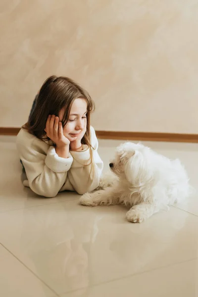 Yaşında Bir Kız Uzun Saçlı Evcil Köpeği Maltese Bir Kız — Stok fotoğraf