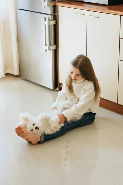 집에서 기르는 Maltese 의어린 소녀와 모델을 소녀의 알레르기 수의사 — 스톡 사진