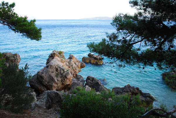 크로아티아 아드리 아해의 청록색 바닷물 — 스톡 사진