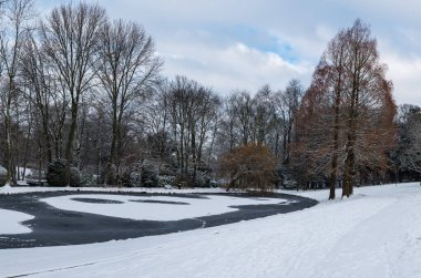 Brüksel 'deki bir parkta kış boyunca çıplak ağaçlar ve kar manzaraları