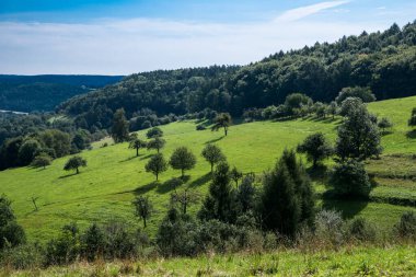 Schwarzenberg 'in yeşil manzarasında tepeler, ağaçlar ve tarım alanlarıyla panoramik manzara