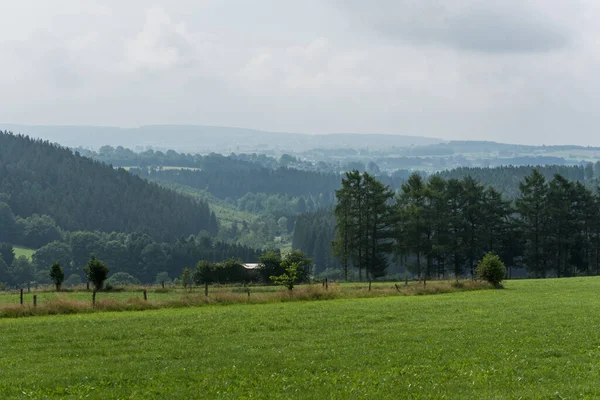 Vista Nebulosa Sobre Florestas Zona Rural Belga — Fotografia de Stock